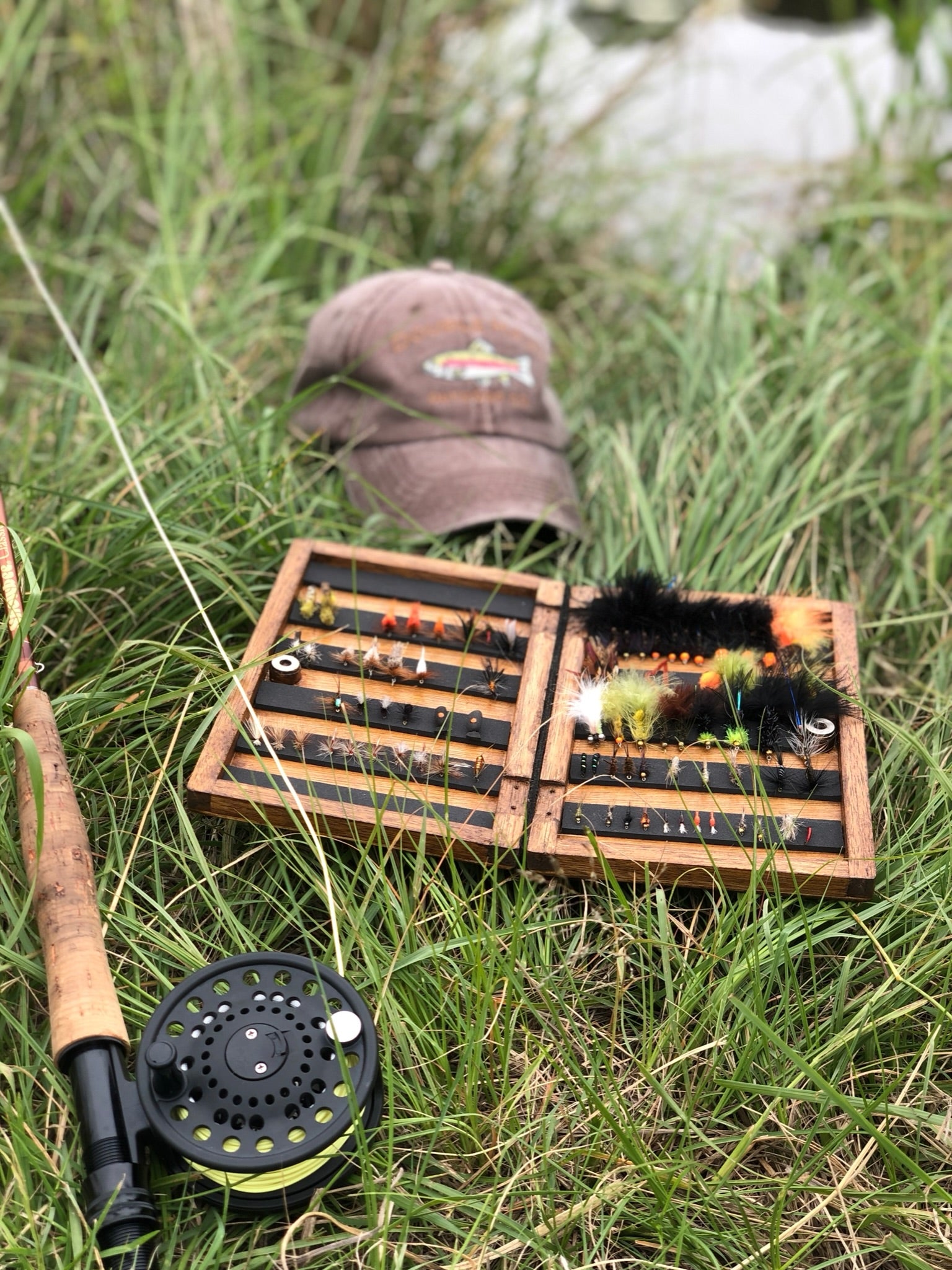 Rainbow Trout - Brown